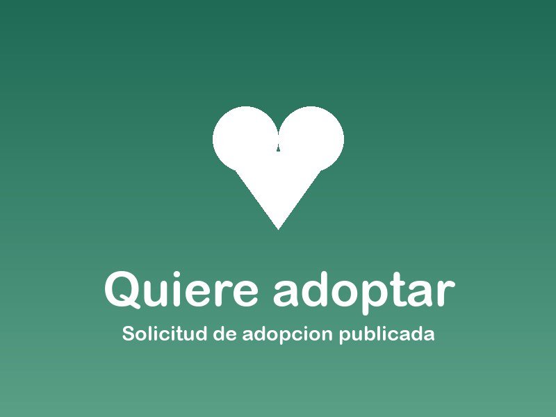 Queremos adoptar un labrador en Madrid